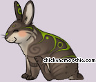 Pet