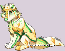 Pet