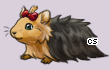 Pet
