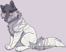 Pet