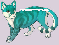 Pet
