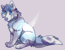 Pet