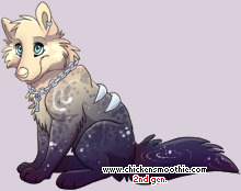 Pet