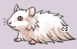 Pet