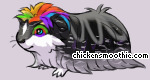 Pet