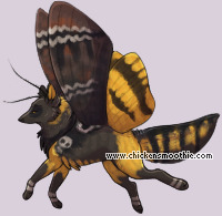 Pet