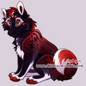 Pet