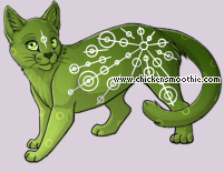 Pet