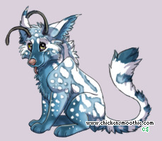 Pet