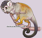 Pet