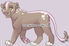 Pet