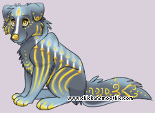 Pet