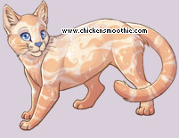 Pet