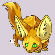 Pet