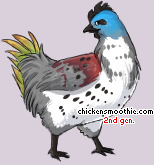 Pet