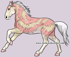 Pet