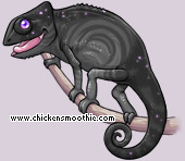 Pet