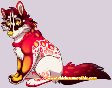 Pet