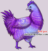 Pet