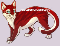 Pet