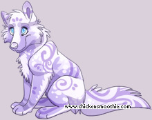Pet