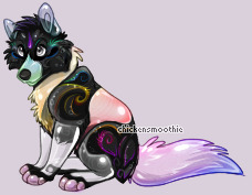 Pet
