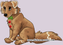 Pet