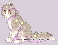 Pet