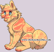 Pet