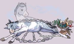 Pet