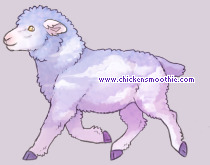 Pet