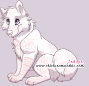 Pet