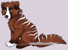 Pet
