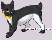 Pet