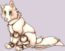 Pet