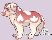 Pet