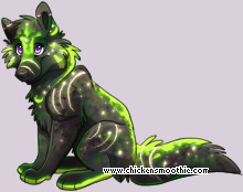 Pet