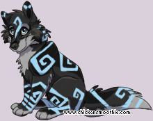 Pet