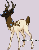 Pet