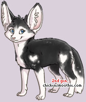 Pet