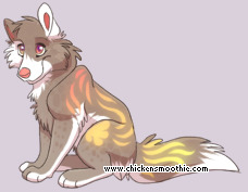 Pet