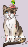 Pet