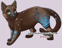 Pet