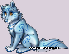Pet
