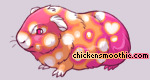 Pet