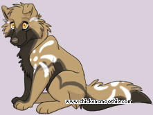 Pet