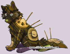 Pet