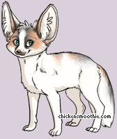 Pet