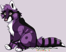 Pet