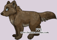 Pet